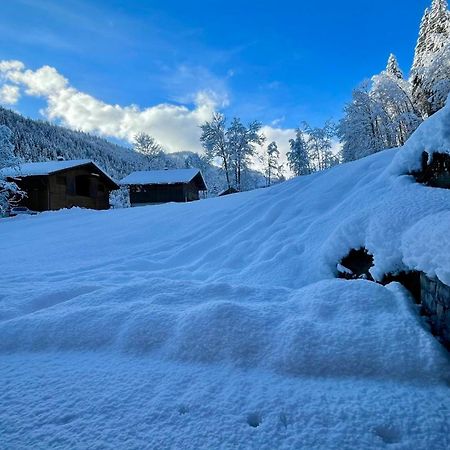 Chalet Birdie Le Grand-Bornand Bagian luar foto