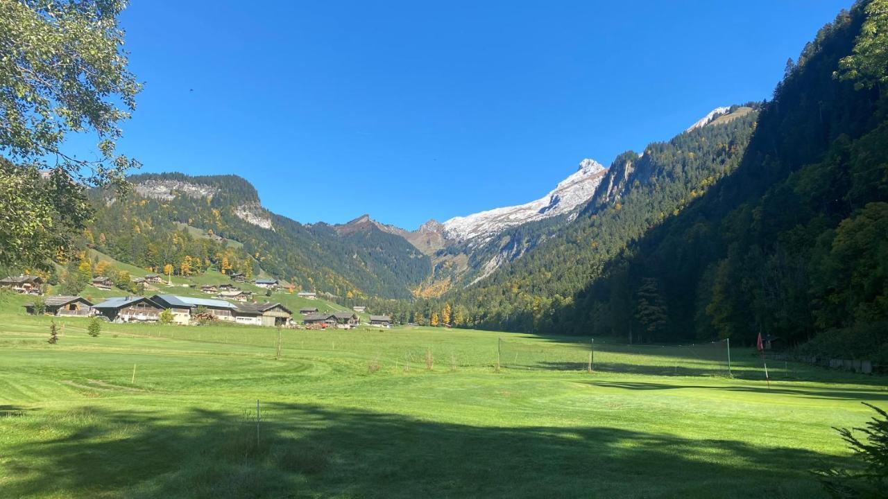 Chalet Birdie Le Grand-Bornand Bagian luar foto